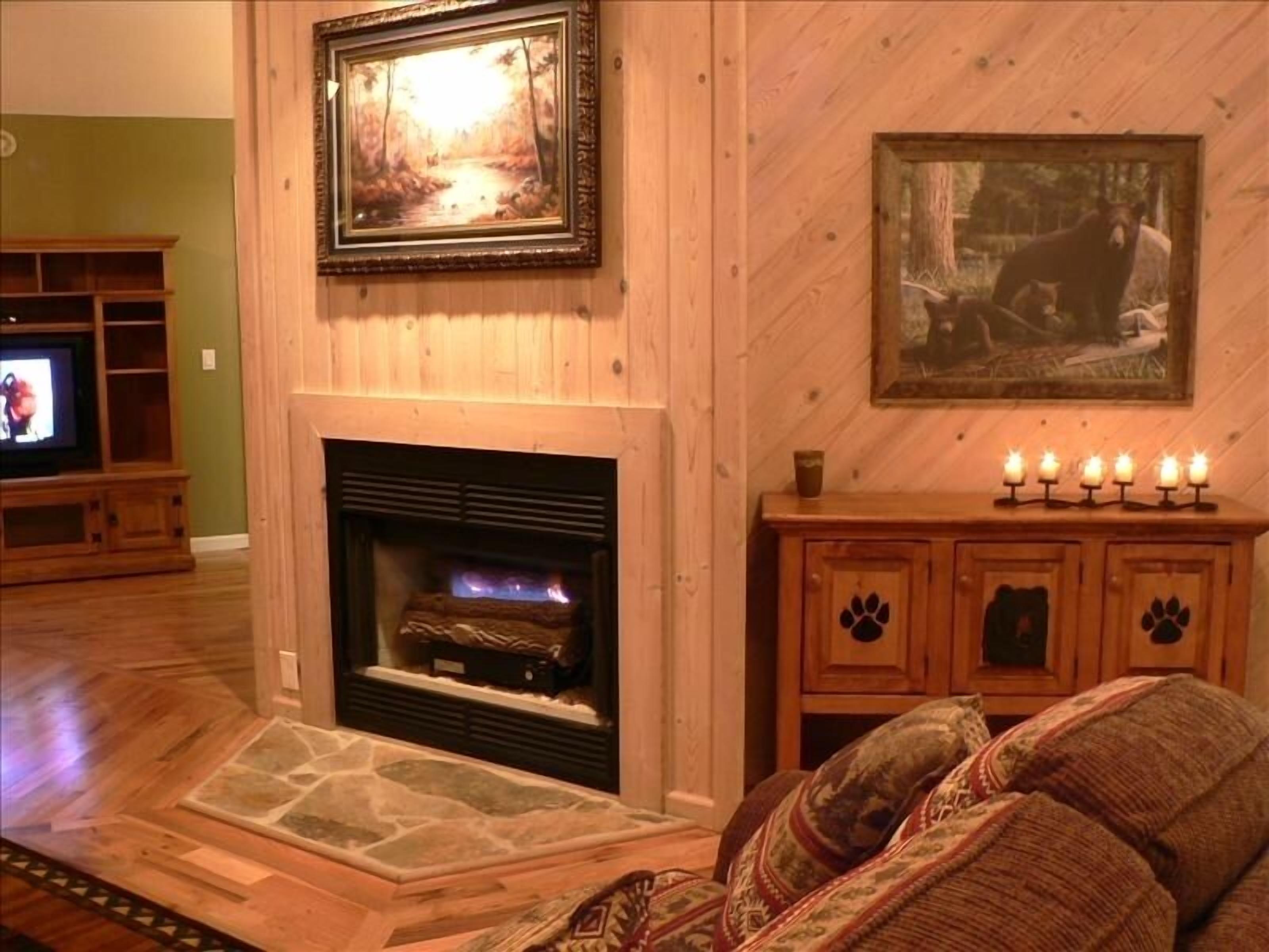 Smart TV, fireplace, DVD player, books