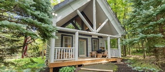 Dog Friendly Deep Creek Hideaway w/ Fireplace