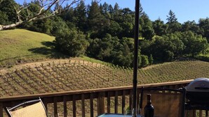 A glass table with a red umbrella, a bottle of wine, and two wine glasses on a deck with a view of a vineyard and hills. - ✨Rustic Cabin in Dry Creek Valley with beautiful views // 5 miles to Plaza ✨ (Healdsburg)