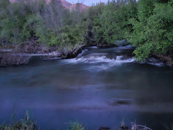 Une rivière qui traverse une zone boisée, bordée d’une végétation luxuriante de chaque côté.