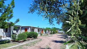 Unclassified image, 2 of 22, button - Nelumbo Petit Chalet (San Rafael)