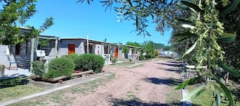 Nelumbo Petit Chalet