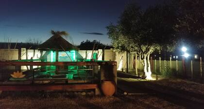Nelumbo Petit Chalet