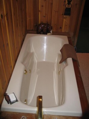 Combined shower/bathtub, jetted bath, hair dryer, towels