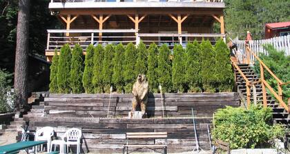 FABULOUS VACATION AT TWIN LAKES BEAR LODGE!