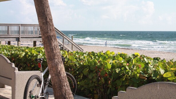 A beach view with a wooden walkway, a bicycle, and a bench.