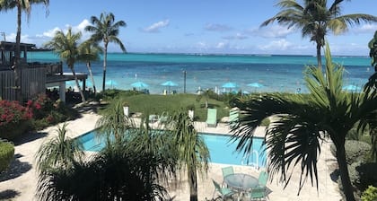 Grace Bay Beachfront:Tropical Reef 50 Feet Offshore.