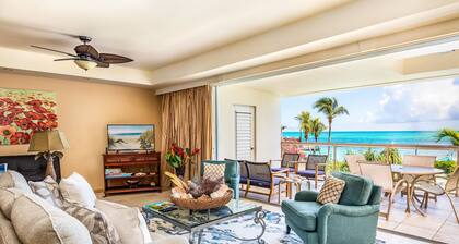 Grace Bay Beachfront:Tropical Reef 50 Feet Offshore.