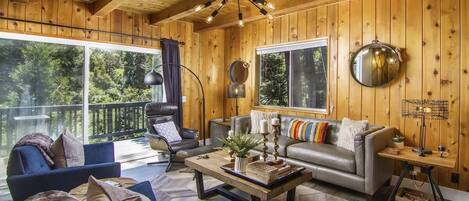 TV, caminetto, libri, impianto stereo