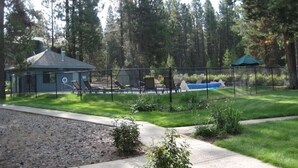 A backyard with a pool, lounge chairs, and a small building.