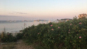 A coastal view with boats, a house, and dense greenery.