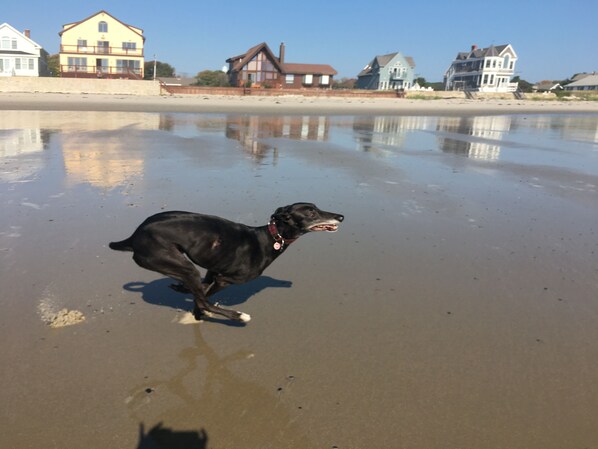 Beach nearby