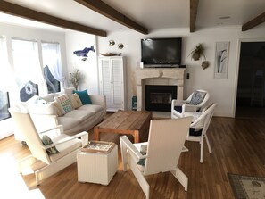 Smart TV, fireplace, DVD player, books