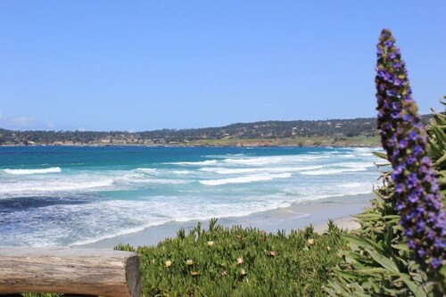'Carmel Tranquility' 2 Beaches 6 and 9mins walk from a bright & airy beach home