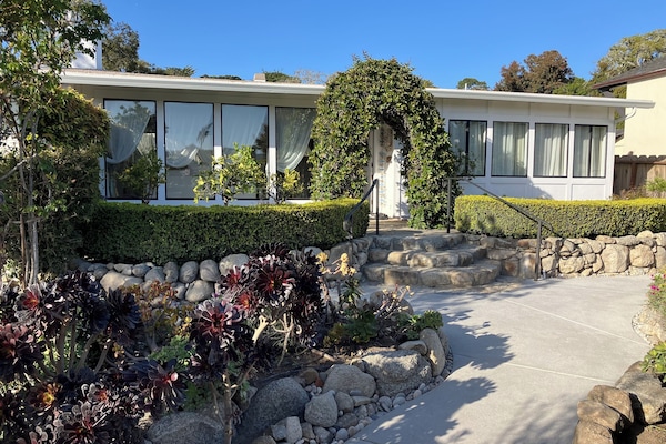 2025 renewed pathways and driveway...