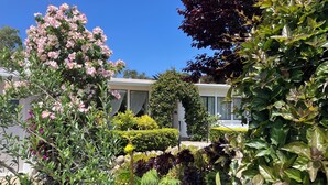 Un jardin avec différentes plantes et fleurs, un sentier et un bâtiment doté de fenêtres.