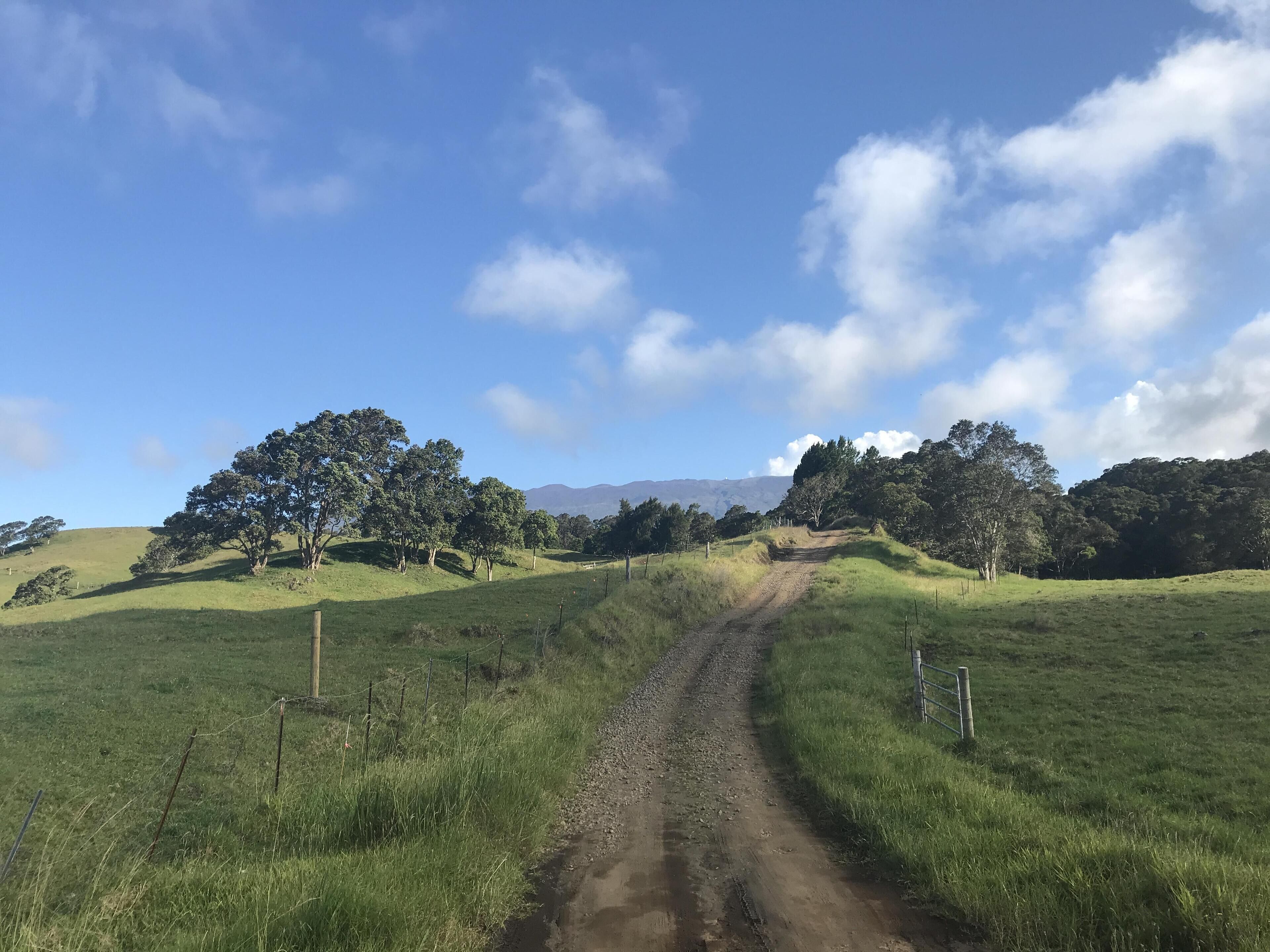 A dirt path leading through a grassy field with trees and hills in the background.