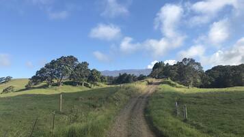 A dirt path leading through a grassy field with trees and hills in the background.