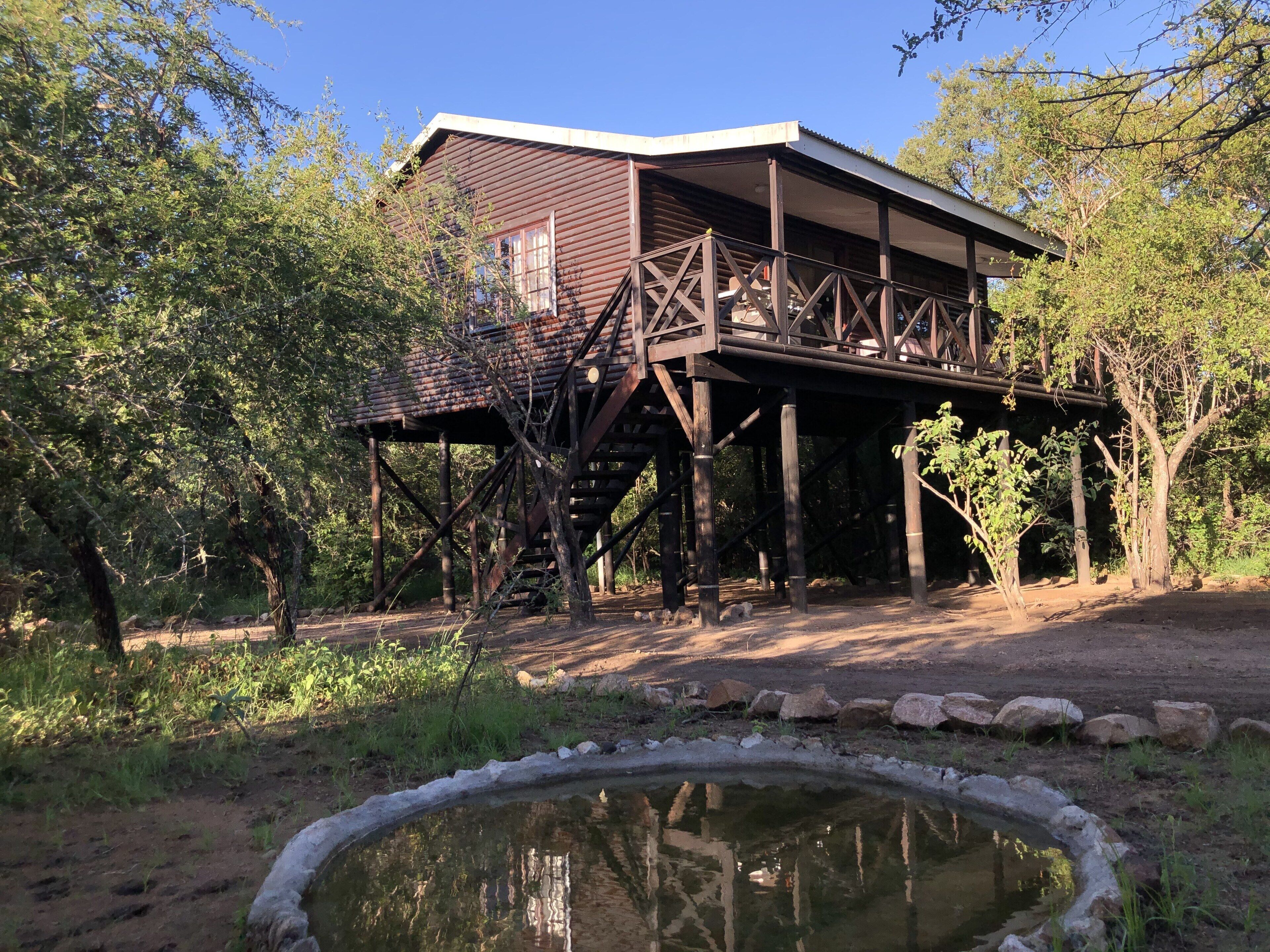 Lodge overlooking a watering hole