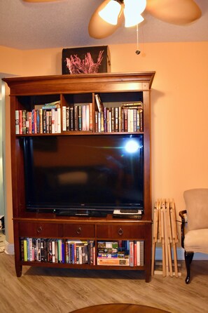 Una Smart TV, un reproductor de DVD, libros, un reproductor estéreo