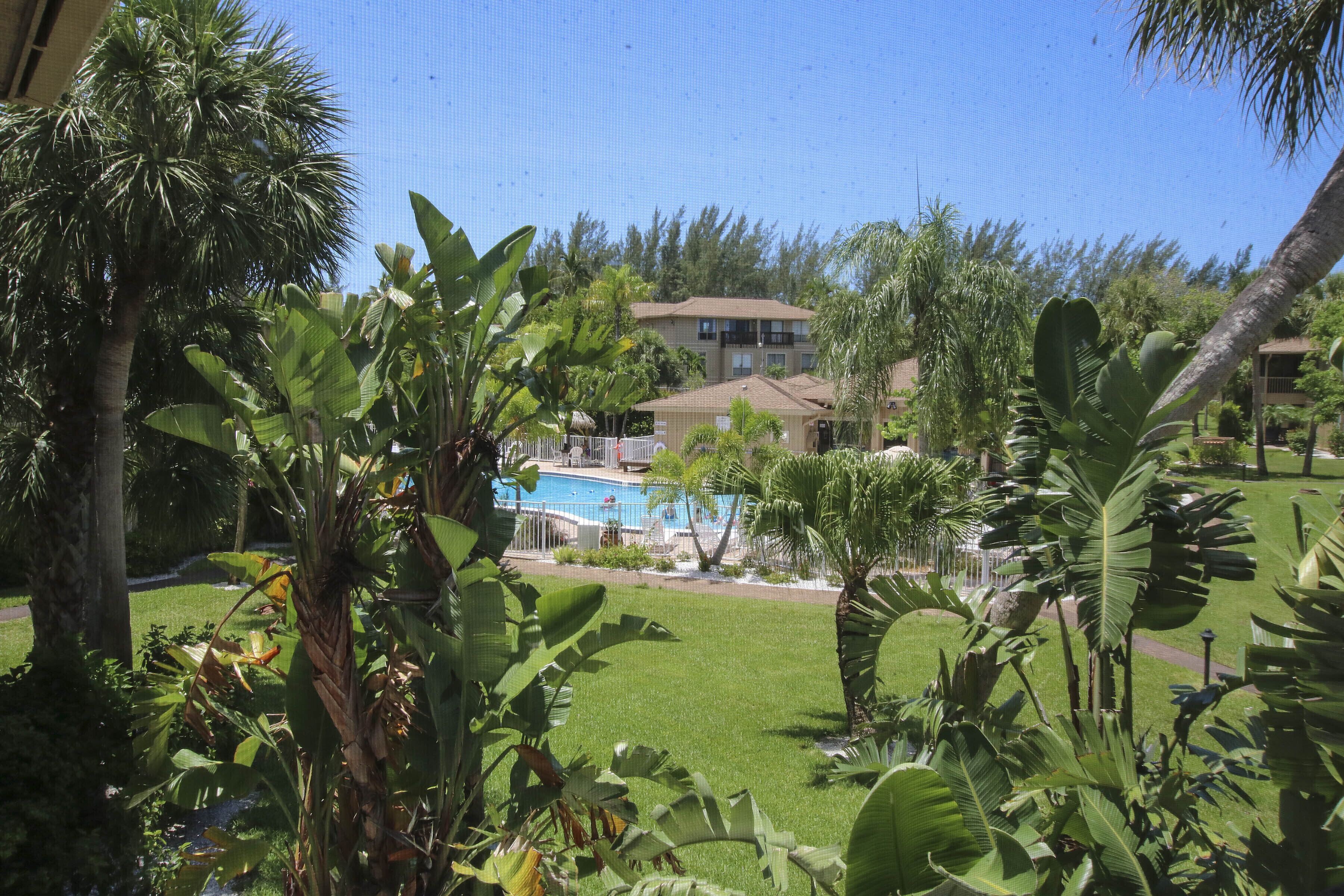 Pool View From Screened Porch
