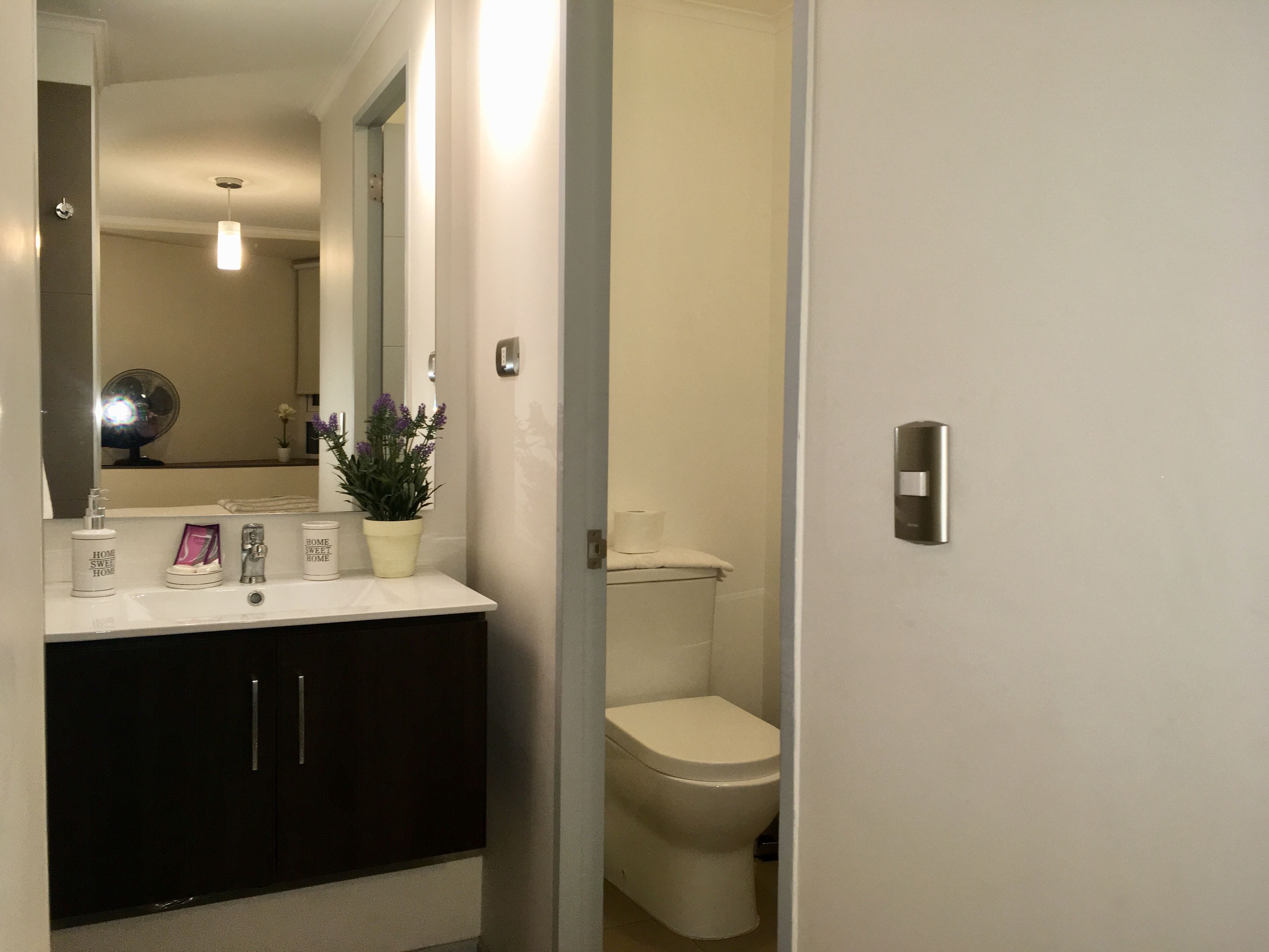 Un baño con un lavamanos blanco, muebles oscuros, un espejo, una planta en maceta y un inodoro.