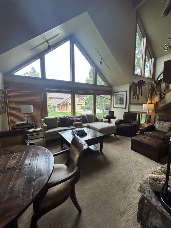 Téléviseur connecté, foyer, livres