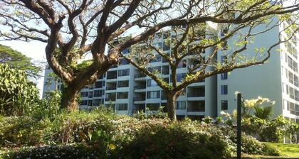 KAILANI at Mauna Loa Shores, Fantastic Condo, Swim with the Sea Turtles
