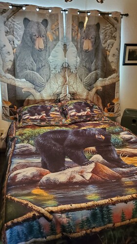 Two Bedroom One Bath Apartment(sleeps no more than 4)