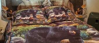 Two Bedroom One Bath Apartment(sleeps no more than 4)