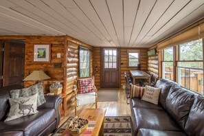 智能电视、壁炉、DVD 播放器、书