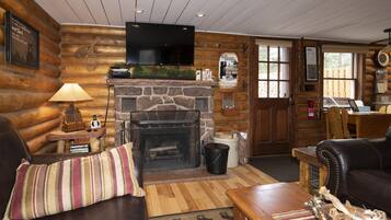 Smart TV, fireplace, DVD player, books