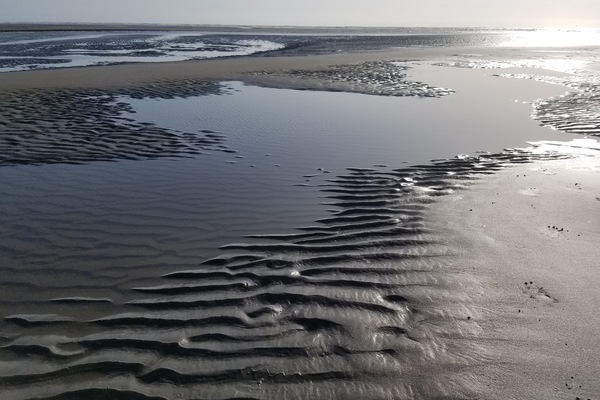 Playa en los alrededores y camastros