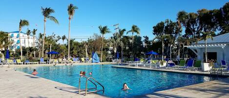 A swimming pool with lounge chairs and umbrellas, surrounded by palm trees and a building in the background.