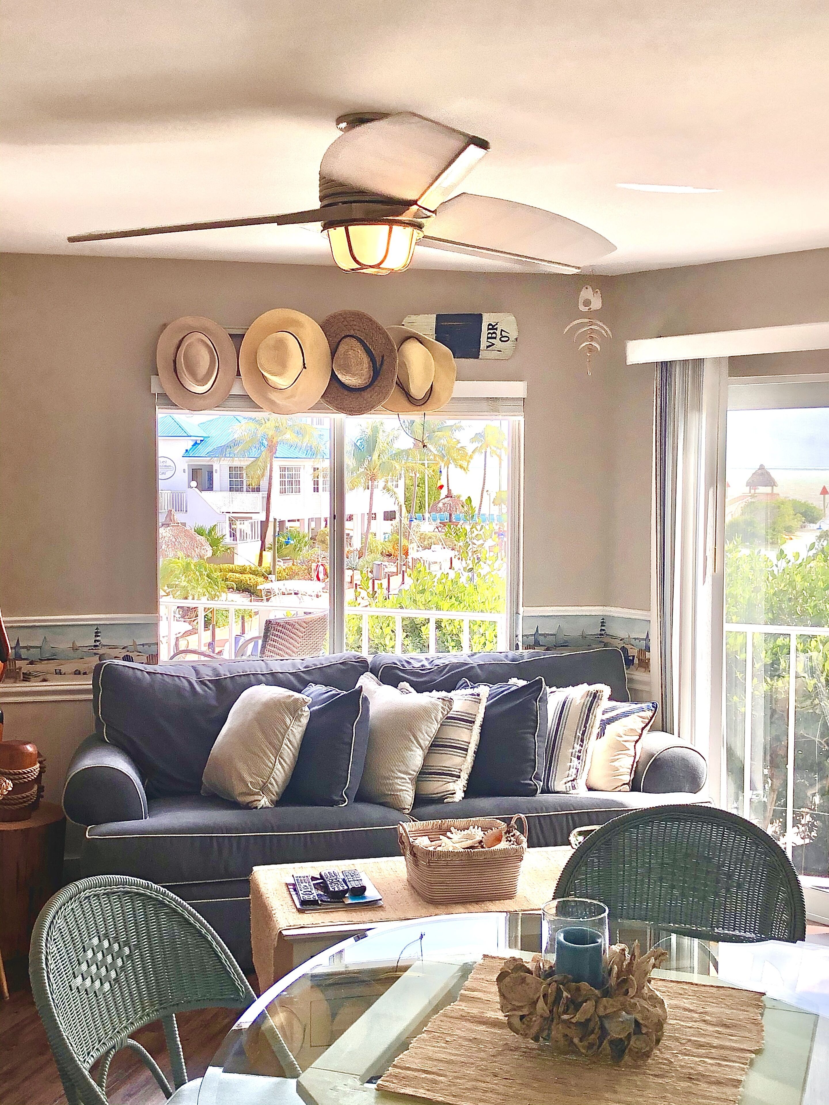 Älytelevisio, DVD-soitin, kirjoja, videokirjasto