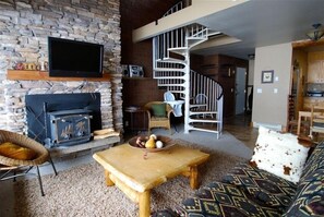 Smart TV, fireplace, books