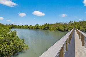 Une promenade en bois s’étendant au-dessus d’une étendue d’eau calme, entourée d’une végétation luxuriante.