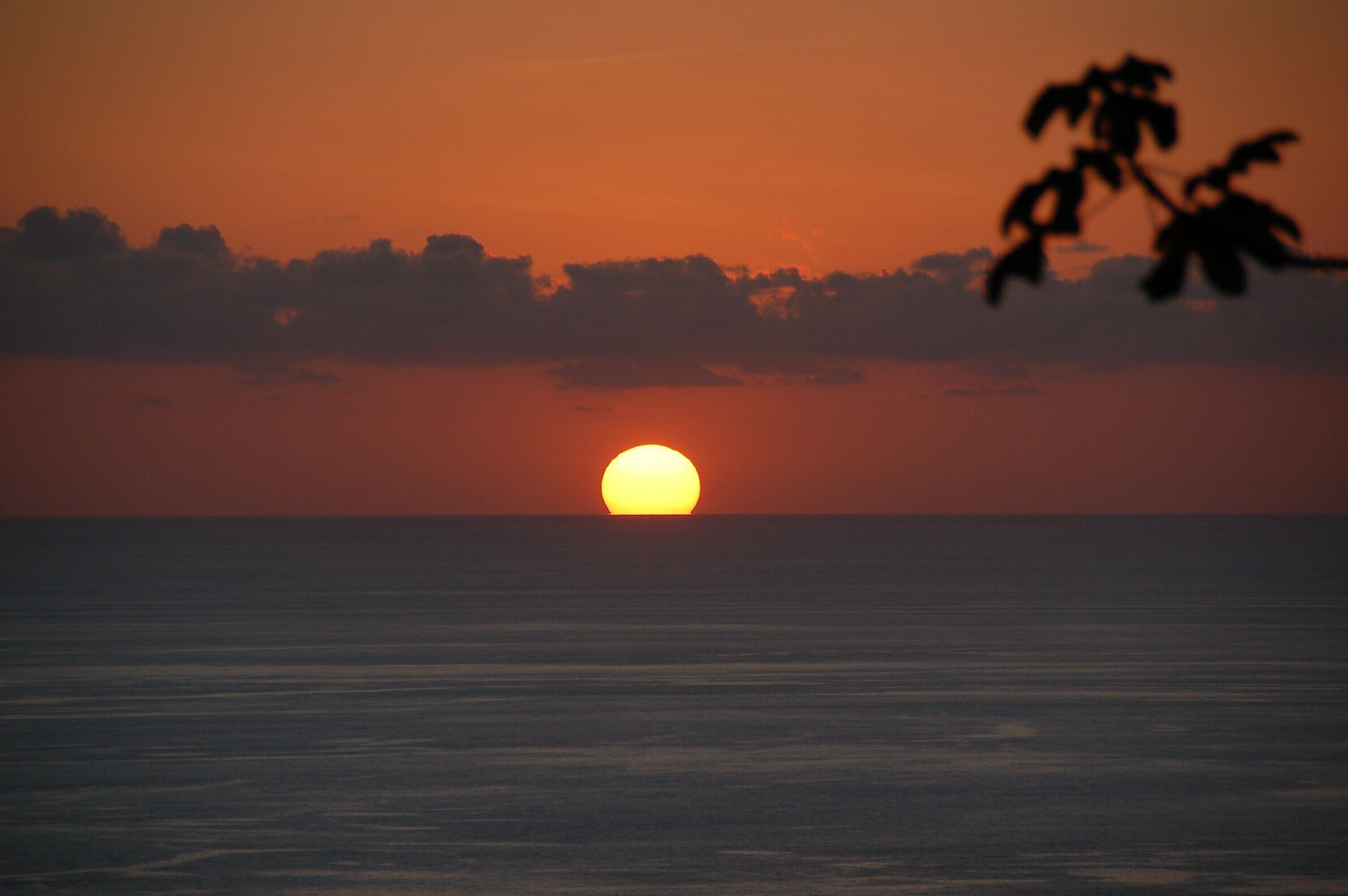 Een zonsondergang boven een rustige zee, met silhouetten van bomen en een heldere horizon.