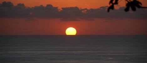 Een zonsondergang boven een rustige zee, met silhouetten van bomen en een heldere horizon.
