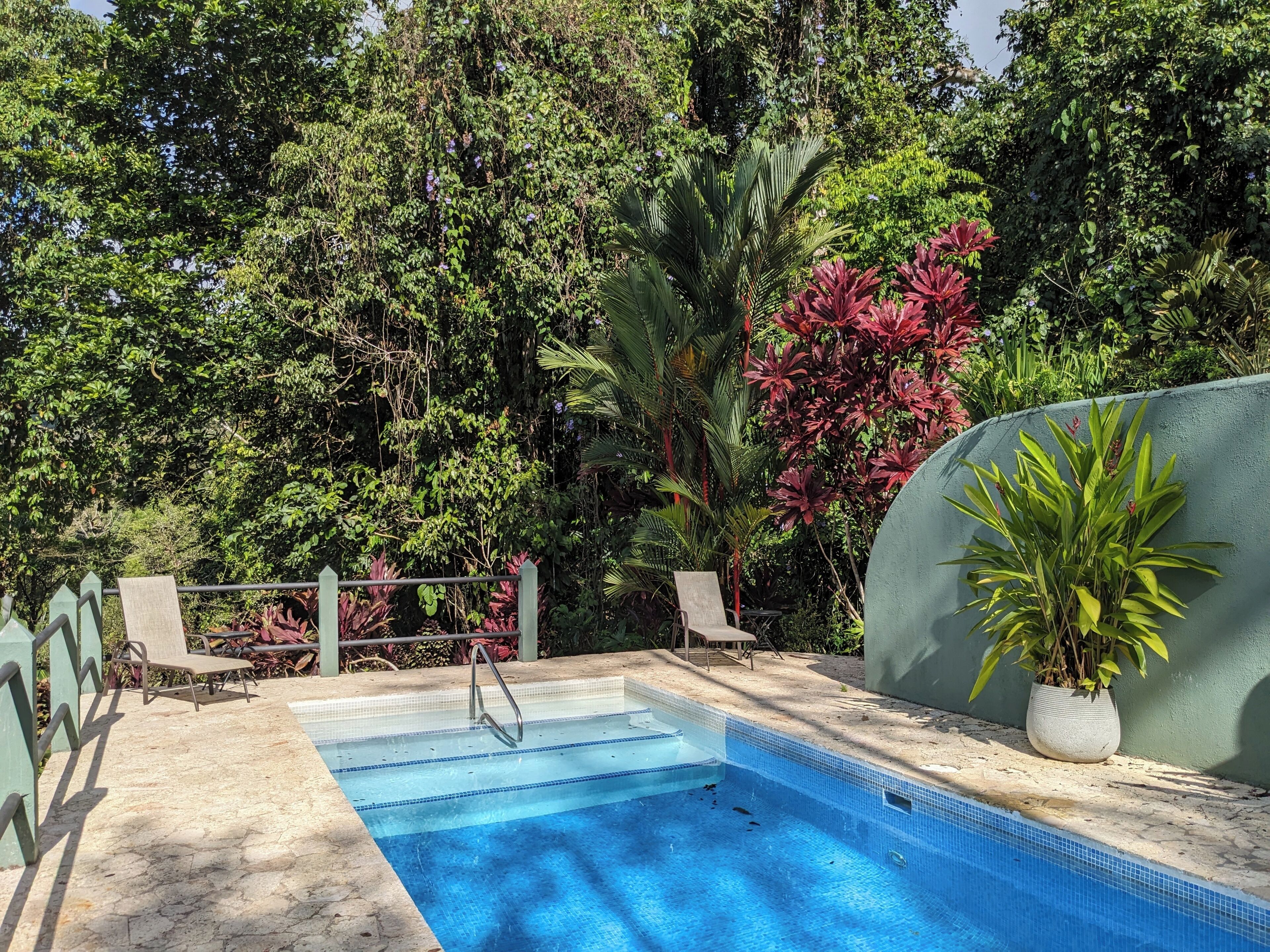 Una piscina con escalera metálica, rodeada de abundante vegetación y algunas plantas en macetas.