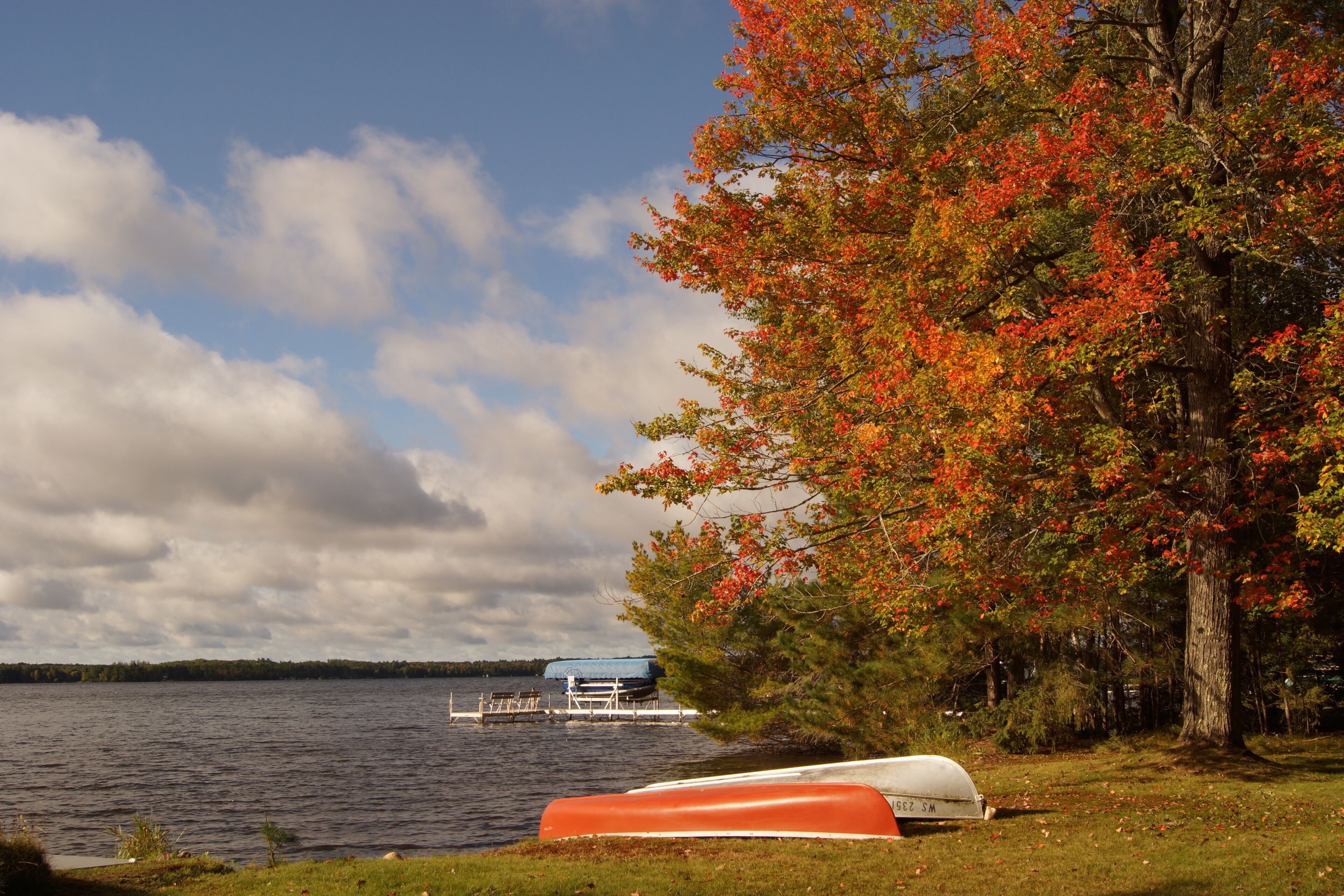 A lakeside scene with a dock, a covered boat house, and a tree with autumn foliage.