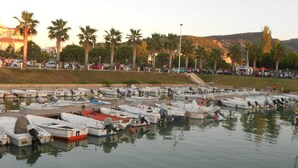 Un puerto deportivo con numerosas embarcaciones pequeñas amarradas, rodeado de palmeras y un paisaje montañoso al fondo.