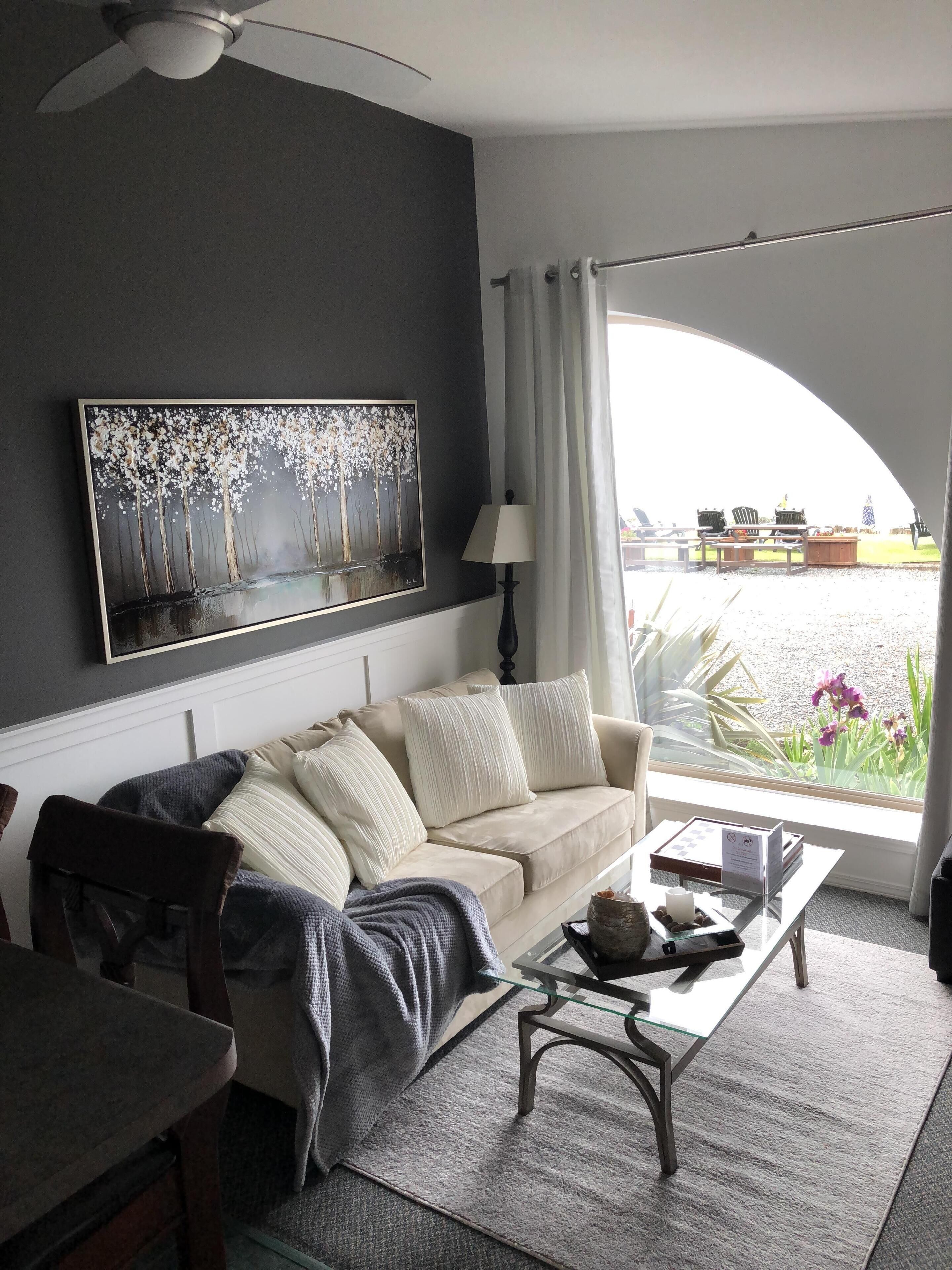 TV, fireplace, DVD player, books