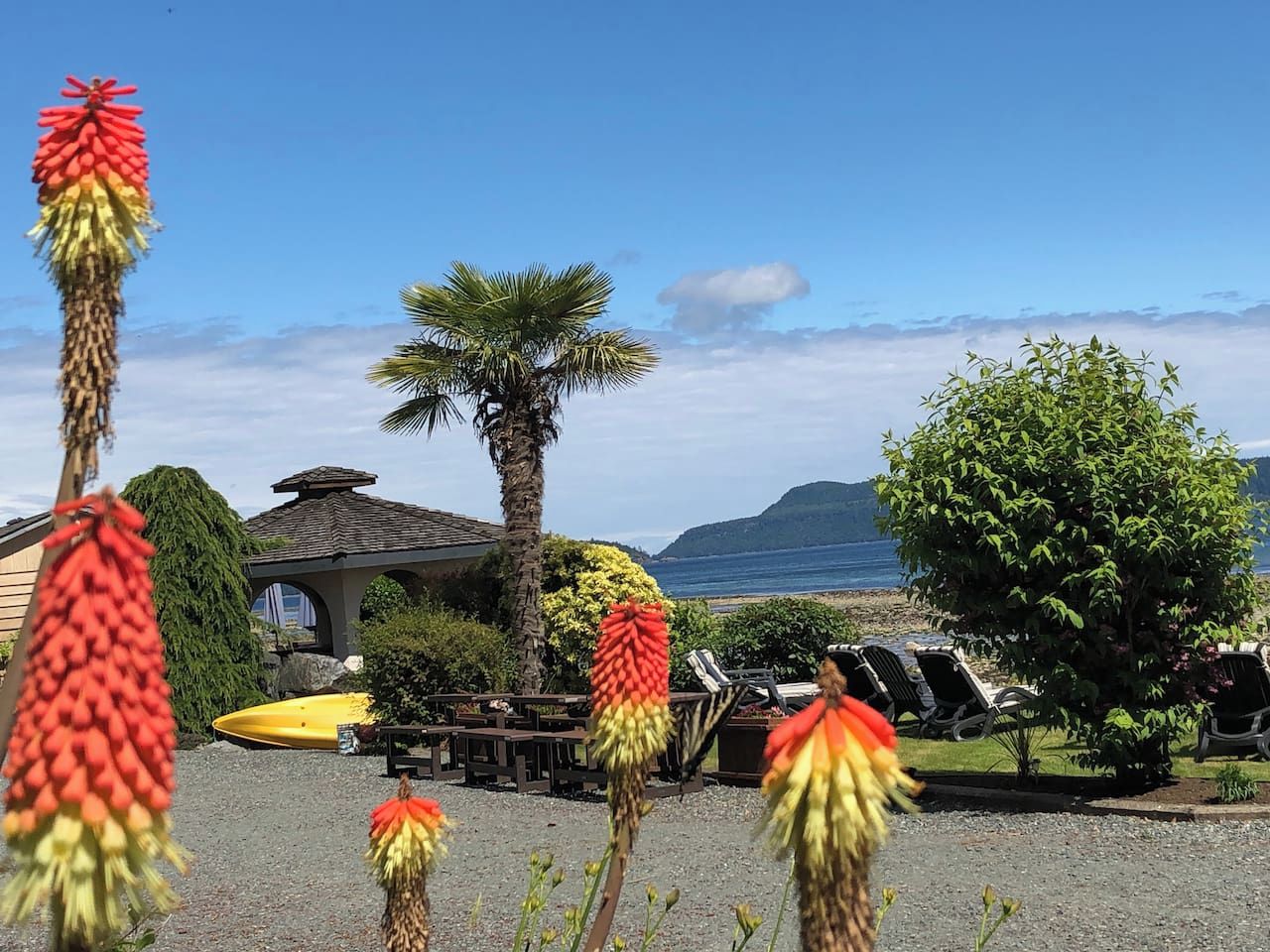 A coastal property with a gazebo, lounge chairs, and a view of the sea.