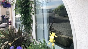 Janela com vista para um carro e um prédio.