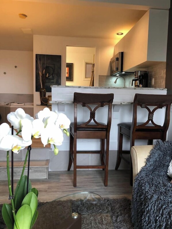 A modern kitchen with a white countertop, wooden chairs, and a decorative plant. - Oceanside Honeymoon Suite (Qualicum Beach)