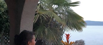 Beachfront Honeymoon suite jacuzzi, fireplace, Bbq, Hot tub,oyster/clams,kayaks