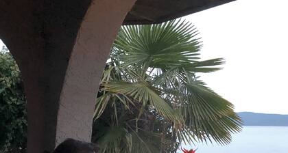 Beachfront Honeymoon suite jacuzzi, fireplace, Bbq, Hot tub,oyster/clams,kayaks