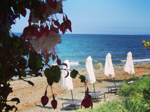 Sun loungers - Beachfront Honeymoon suite jacuzzi, fireplace, Bbq, Hot tub,oyster/clams,kayaks (Qualicum Beach)