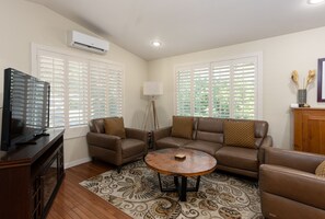 Smart TV, caminetto, libri